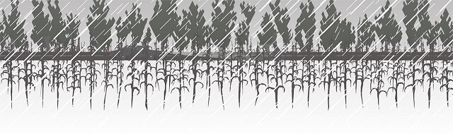 Three Fourths Home - Trees